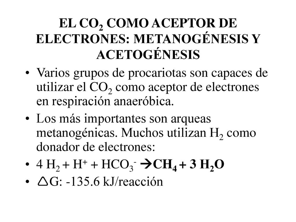 EL CO2 COMO ACEPTOR DE ELECTRONES: METANOGÉNESIS Y ACETOGÉNESIS