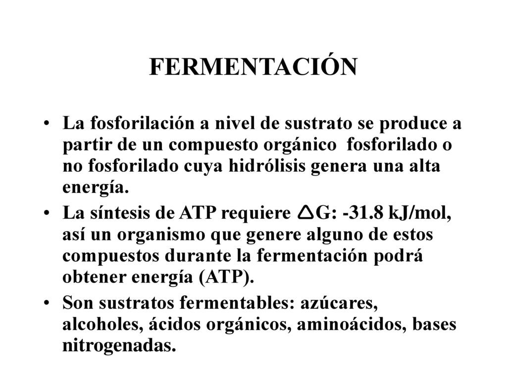 FERMENTACIÓN