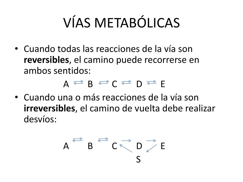 VÍAS METABÓLICAS Cuando todas las reacciones de la vía son reversibles, el camino puede recorrerse en ambos sentidos:
