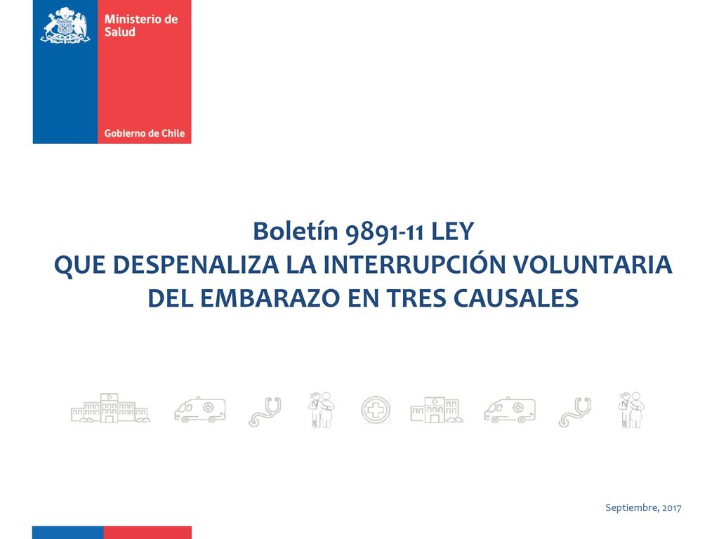 Boletín LEY QUE DESPENALIZA LA INTERRUPCIÓN VOLUNTARIA DEL EMBARAZO EN TRES CAUSALES