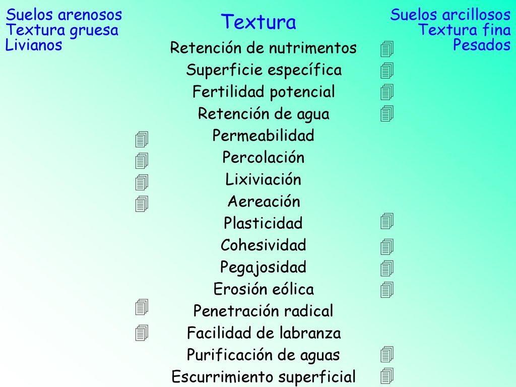 Textura                 Suelos arenosos Textura gruesa