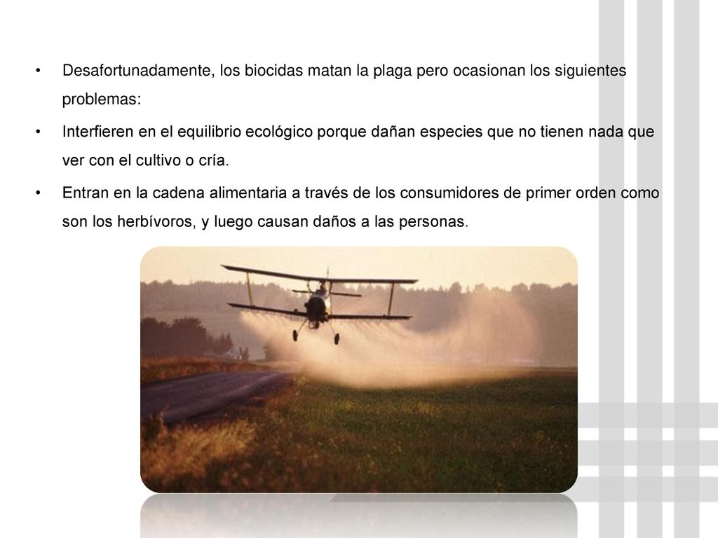 Desafortunadamente, los biocidas matan la plaga pero ocasionan los siguientes problemas: