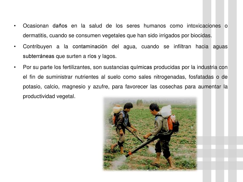 Ocasionan daños en la salud de los seres humanos como intoxicaciones o dermatitis, cuando se consumen vegetales que han sido irrigados por biocidas.