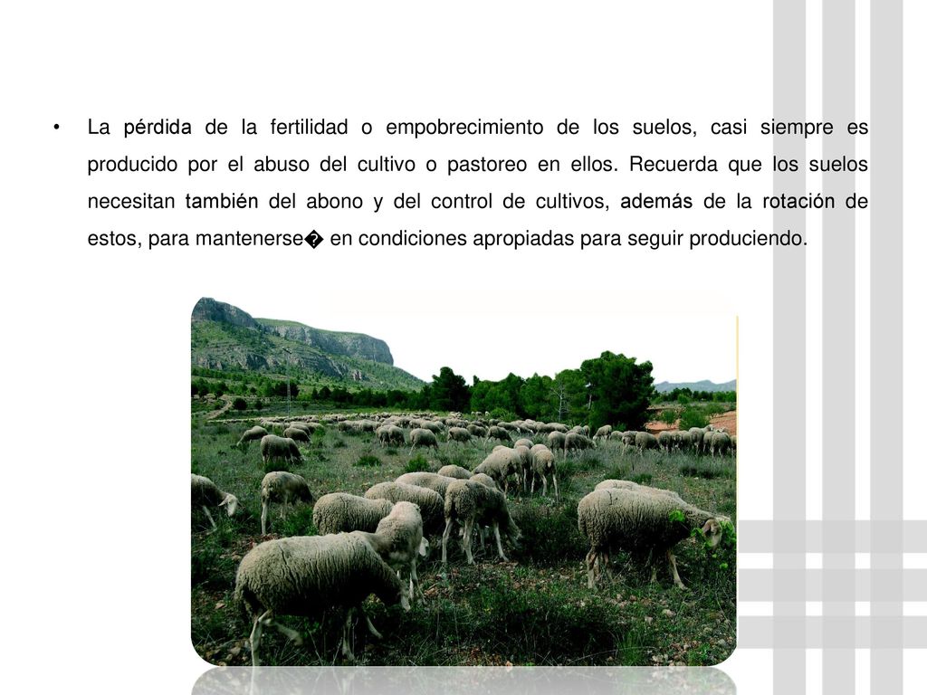 La pérdida de la fertilidad o empobrecimiento de los suelos, casi siempre es producido por el abuso del cultivo o pastoreo en ellos.