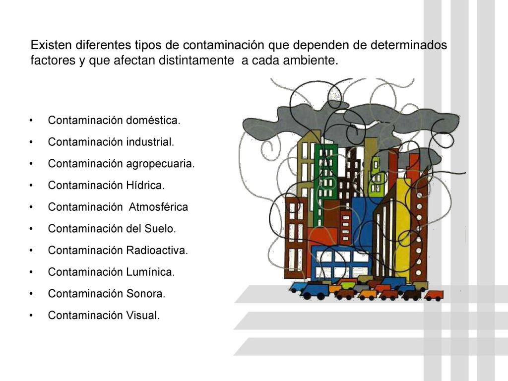 Existen diferentes tipos de contaminación que dependen de determinados factores y que afectan distintamente a cada ambiente.