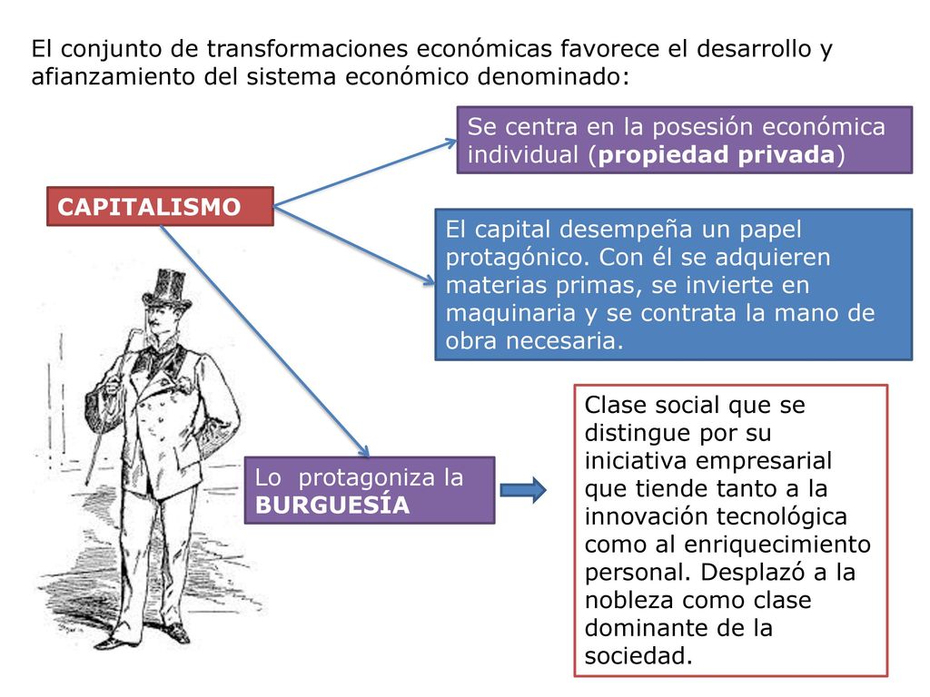 El conjunto de transformaciones económicas favorece el desarrollo y afianzamiento del sistema económico denominado:
