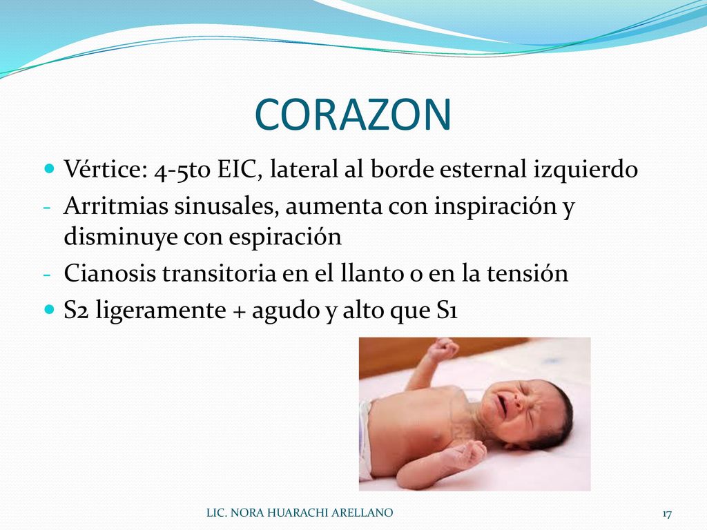 CORAZON Vértice: 4-5to EIC, lateral al borde esternal izquierdo