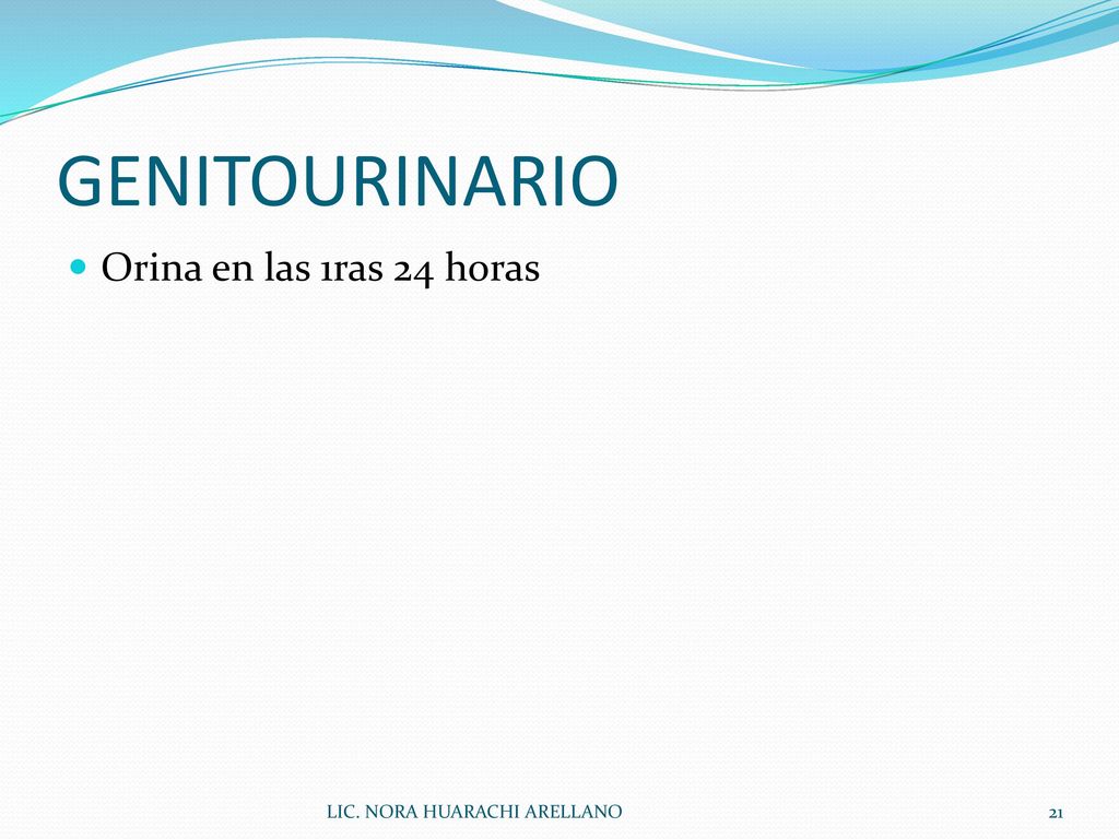 GENITOURINARIO Orina en las 1ras 24 horas LIC. NORA HUARACHI ARELLANO