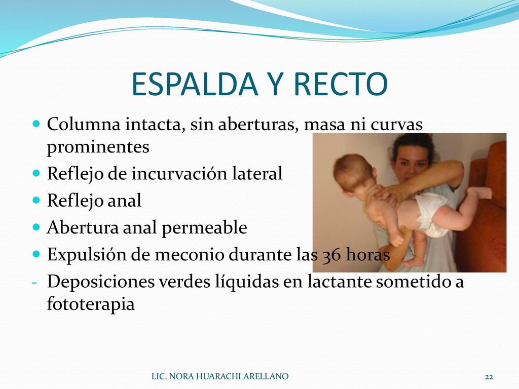 ESPALDA Y RECTO Columna intacta, sin aberturas, masa ni curvas prominentes. Reflejo de incurvación lateral.