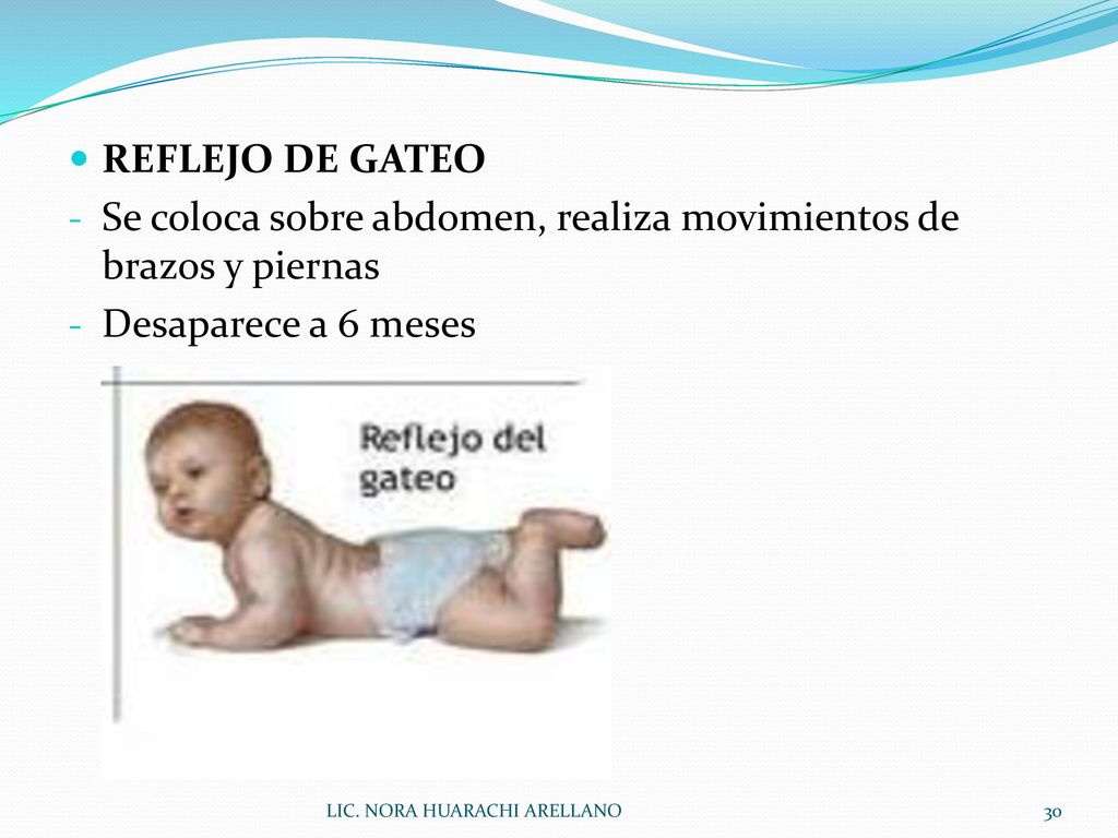 Se coloca sobre abdomen, realiza movimientos de brazos y piernas
