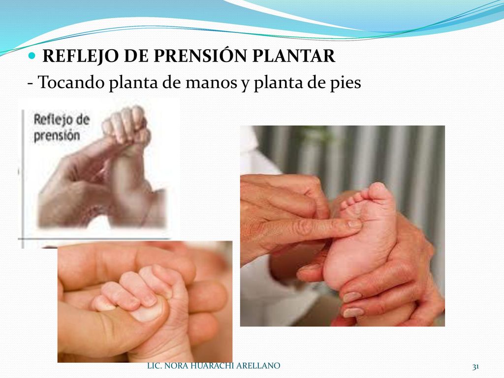 REFLEJO DE PRENSIÓN PLANTAR - Tocando planta de manos y planta de pies