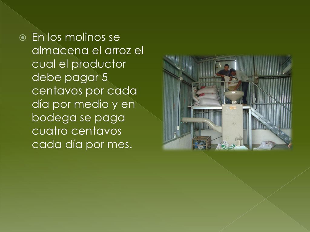 En los molinos se almacena el arroz el cual el productor debe pagar 5 centavos por cada día por medio y en bodega se paga cuatro centavos cada día por mes.