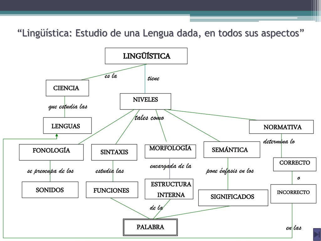 Lingüística: Estudio de una Lengua dada, en todos sus aspectos
