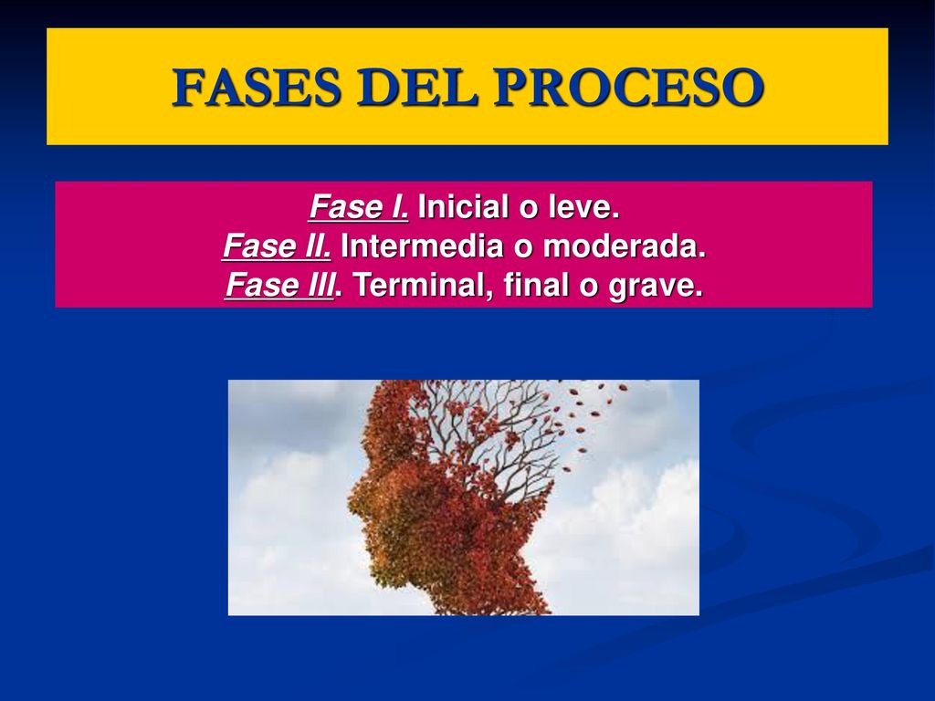 Fase II. Intermedia o moderada. Fase III. Terminal, final o grave.