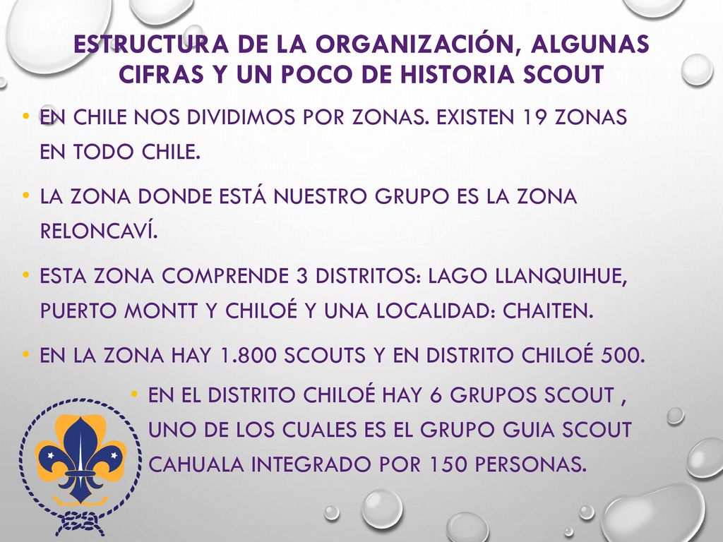Estructura de la organización, algunas cifras y un poco de historia scout