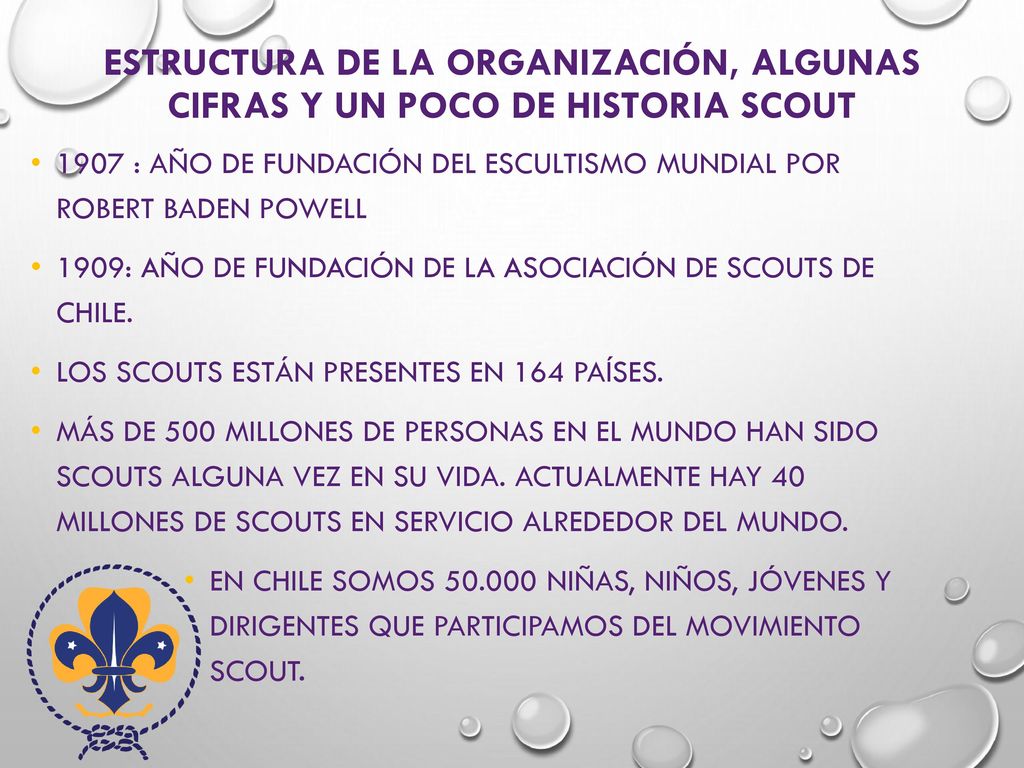 Estructura de la organización, algunas cifras y un poco de historia scout