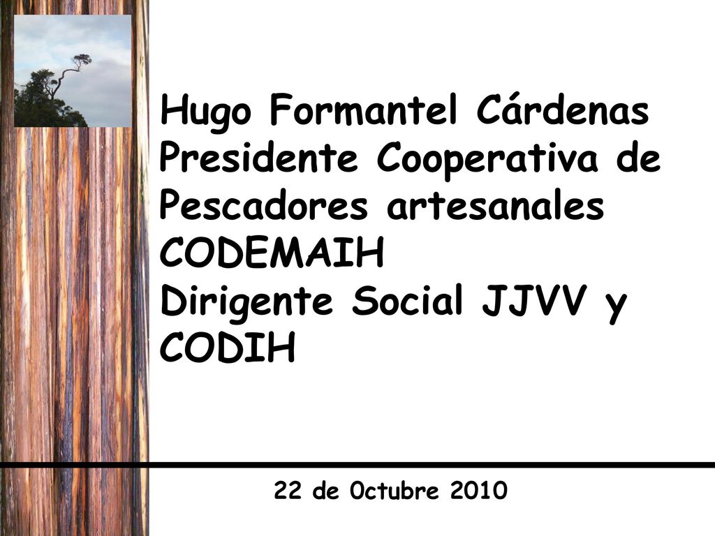 Hugo Formantel Cárdenas Presidente Cooperativa de Pescadores artesanales CODEMAIH Dirigente Social JJVV y CODIH