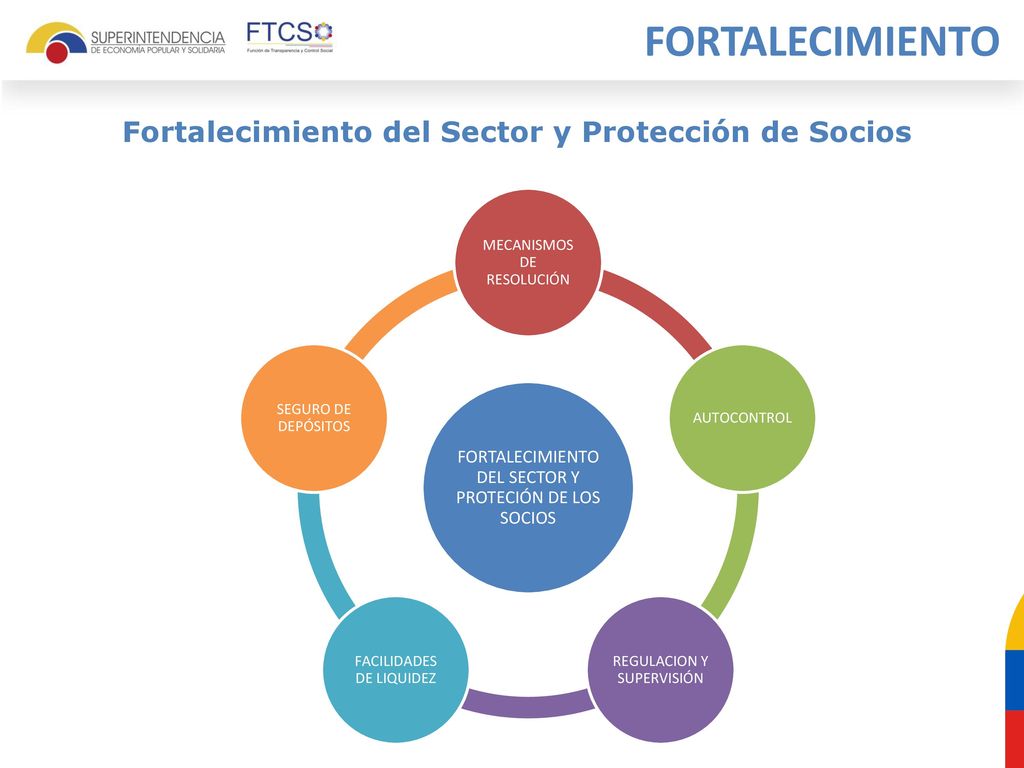 FORTALECIMIENTO Fortalecimiento del Sector y Protección de Socios