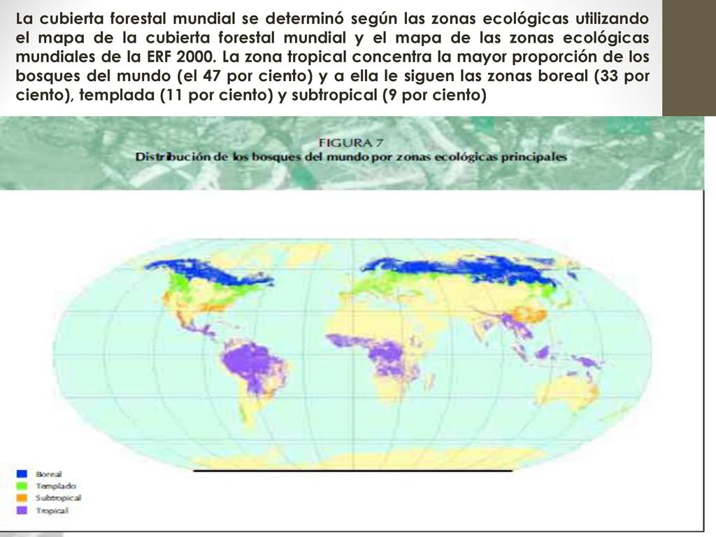 La cubierta forestal mundial se determinó según las zonas ecológicas utilizando el mapa de la cubierta forestal mundial y el mapa de las zonas ecológicas mundiales de la ERF 2000.