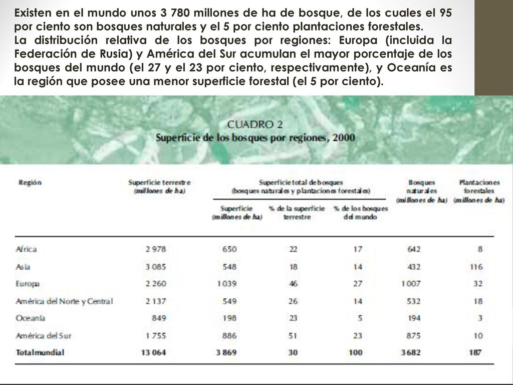 Existen en el mundo unos millones de ha de bosque, de los cuales el 95 por ciento son bosques naturales y el 5 por ciento plantaciones forestales.