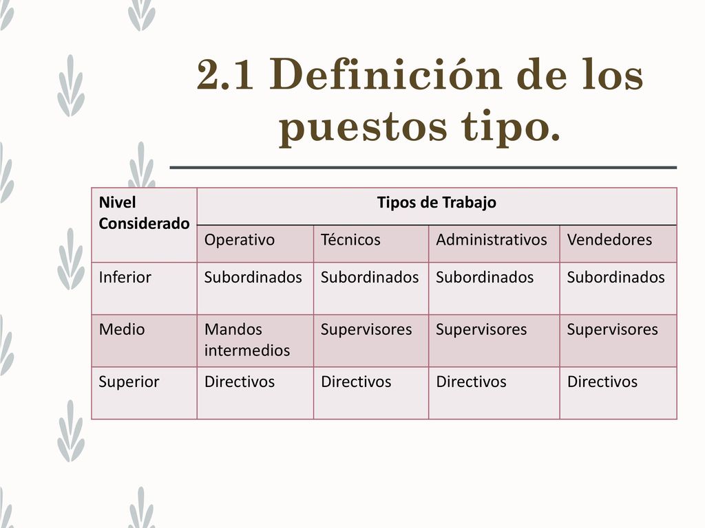 2.1 Definición de los puestos tipo.