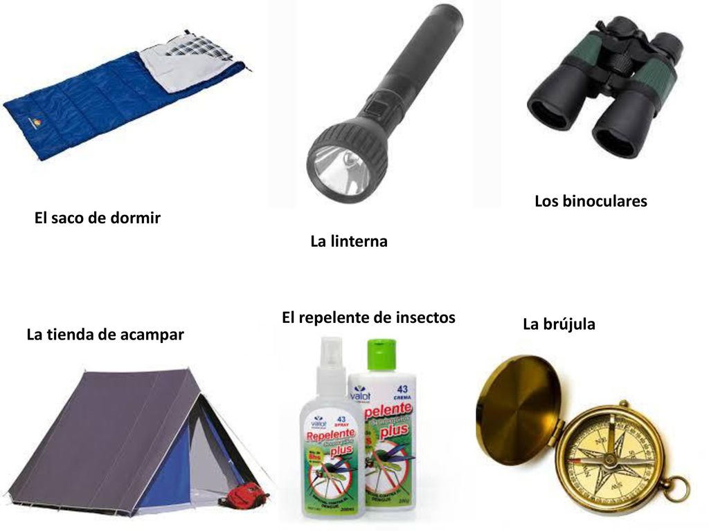 Los binoculares El saco de dormir. La linterna. El repelente de insectos.