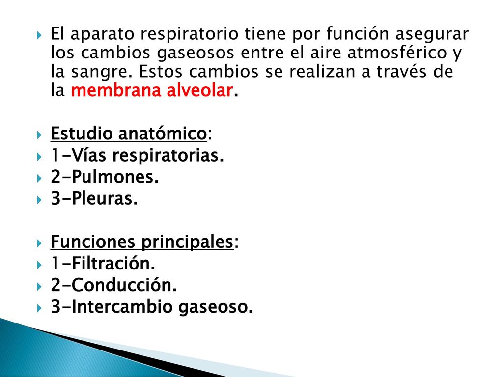 El aparato respiratorio tiene por función asegurar los cambios gaseosos entre el aire atmosférico y la sangre. Estos cambios se realizan a través de la membrana alveolar.