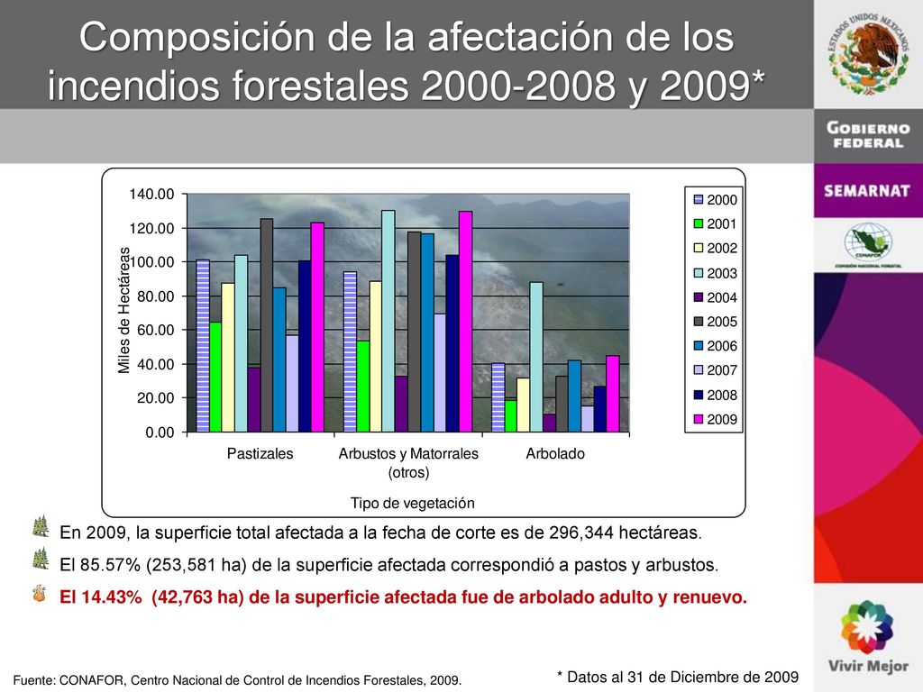 Composición de la afectación de los incendios forestales y 2009*