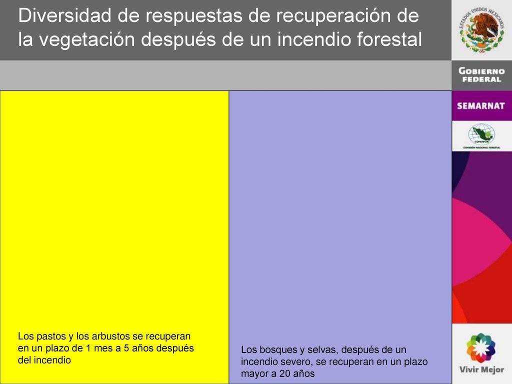 Diversidad de respuestas de recuperación de la vegetación después de un incendio forestal