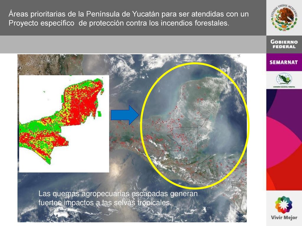 Áreas prioritarias de la Península de Yucatán para ser atendidas con un Proyecto específico de protección contra los incendios forestales.