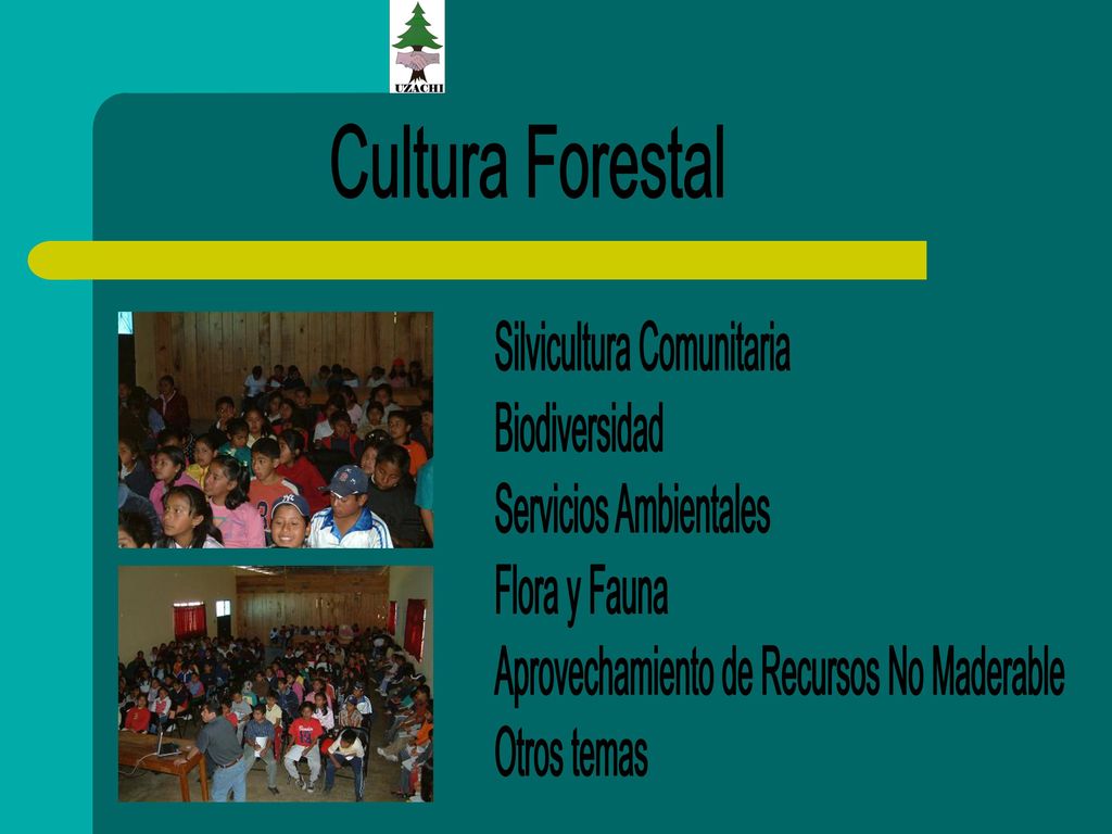 Cultura Forestal Silvicultura Comunitaria. Biodiversidad. Servicios Ambientales. Flora y Fauna. Aprovechamiento de Recursos No Maderable.