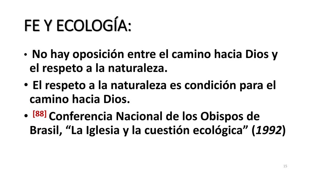 FE Y ECOLOGÍA: No hay oposición entre el camino hacia Dios y el respeto a la naturaleza.