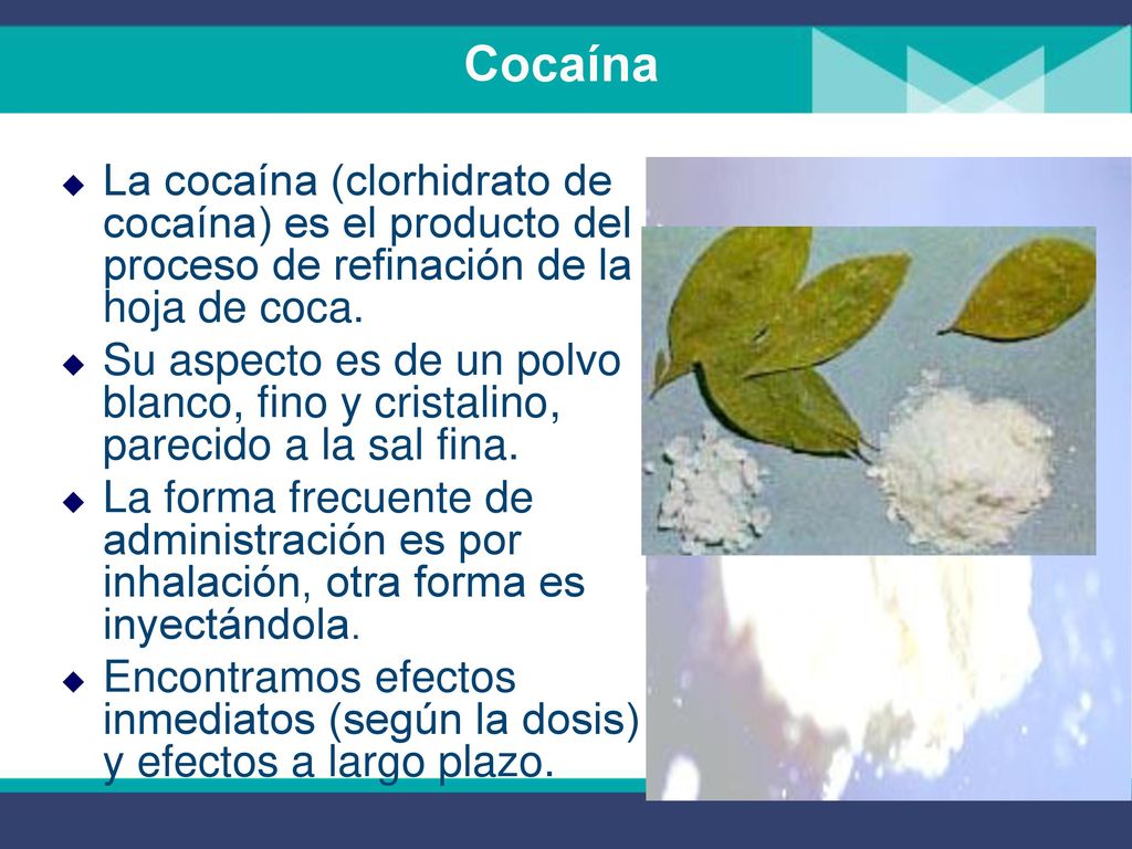 Cocaína La cocaína (clorhidrato de cocaína) es el producto del proceso de refinación de la hoja de coca.