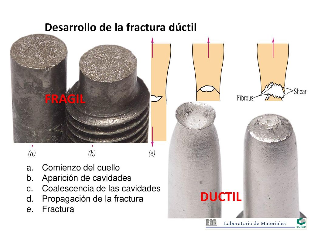 FRAGIL DUCTIL Desarrollo de la fractura dúctil Comienzo del cuello