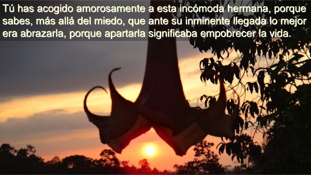 Tú has acogido amorosamente a esta incómoda hermana, porque sabes, más allá del miedo, que ante su inminente llegada lo mejor era abrazarla, porque apartarla significaba empobrecer la vida.
