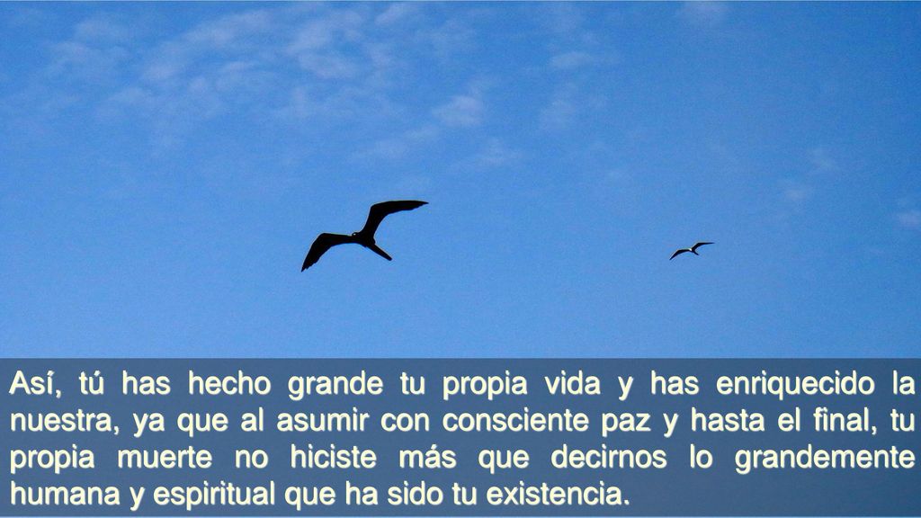 Así, tú has hecho grande tu propia vida y has enriquecido la nuestra, ya que al asumir con consciente paz y hasta el final, tu propia muerte no hiciste más que decirnos lo grandemente humana y espiritual que ha sido tu existencia.