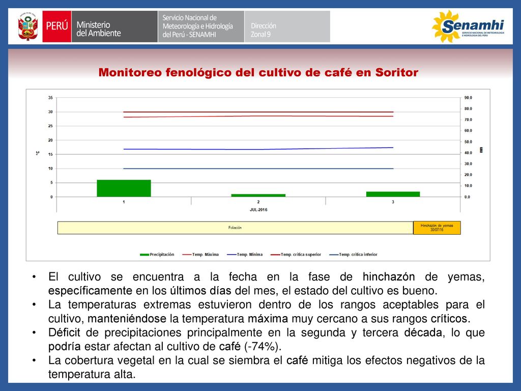 Monitoreo fenológico del cultivo de café en Soritor