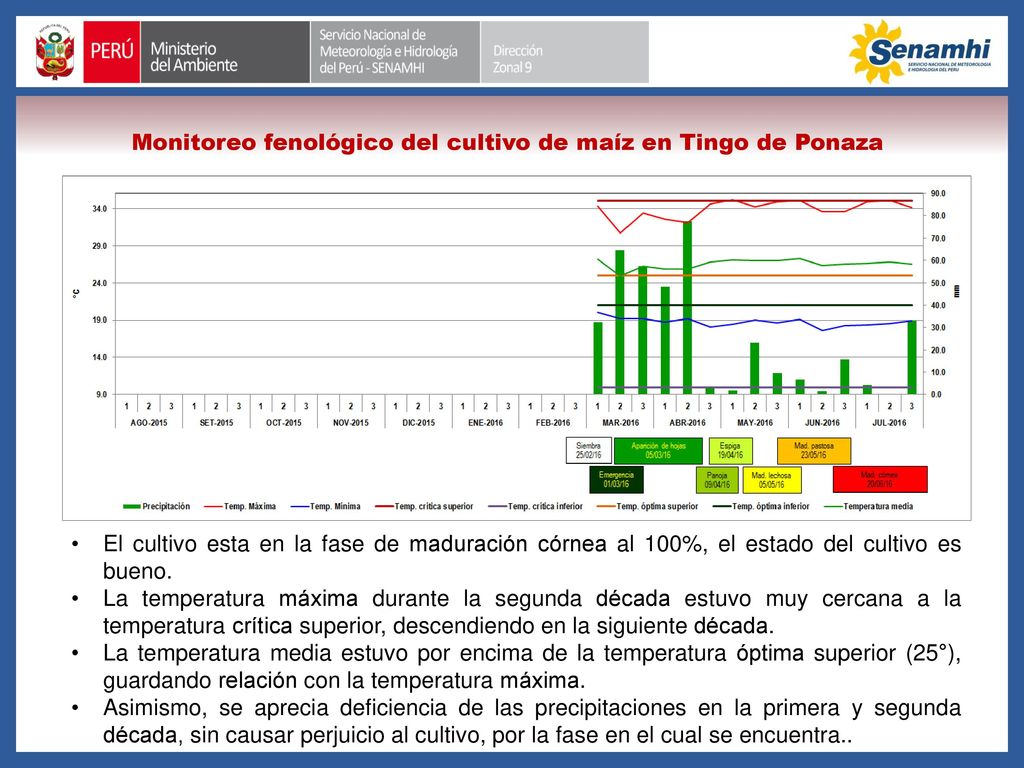Monitoreo fenológico del cultivo de maíz en Tingo de Ponaza