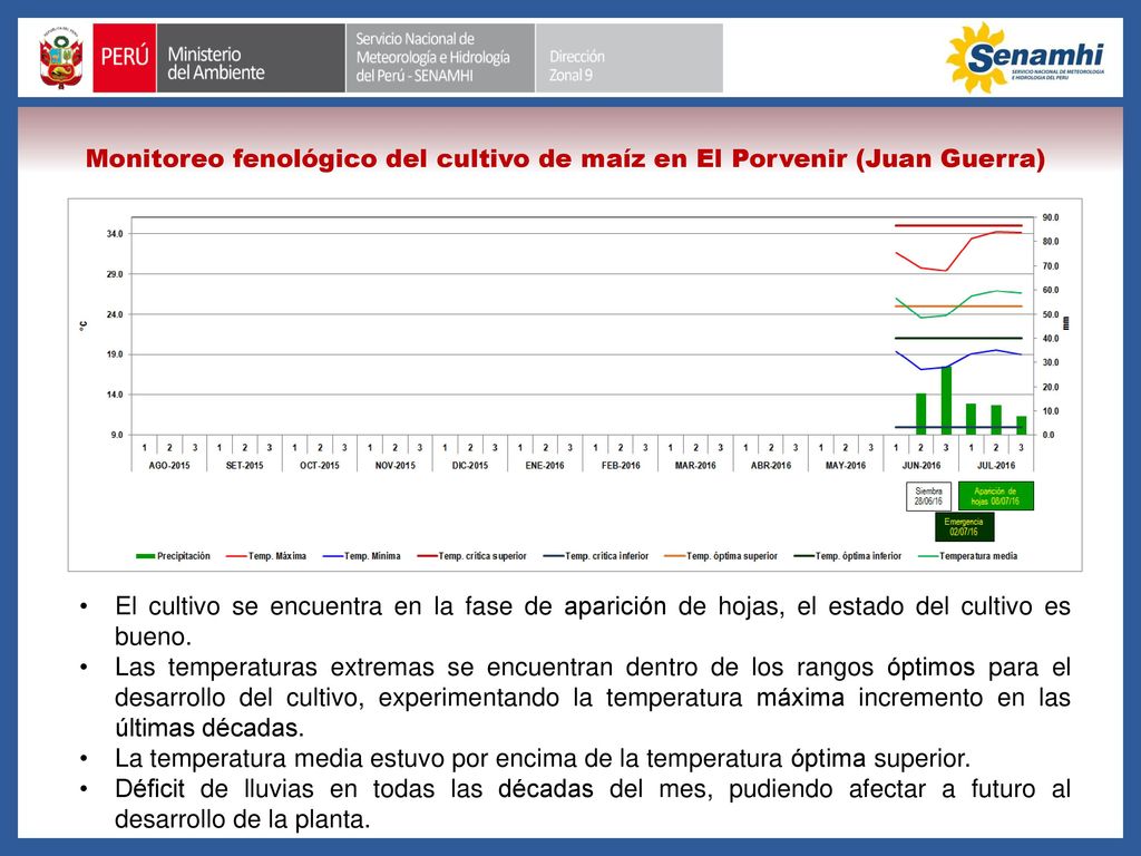 Monitoreo fenológico del cultivo de maíz en El Porvenir (Juan Guerra)
