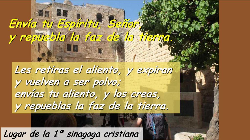 Envía tu Espíritu, Señor, y repuebla la faz de la tierra.