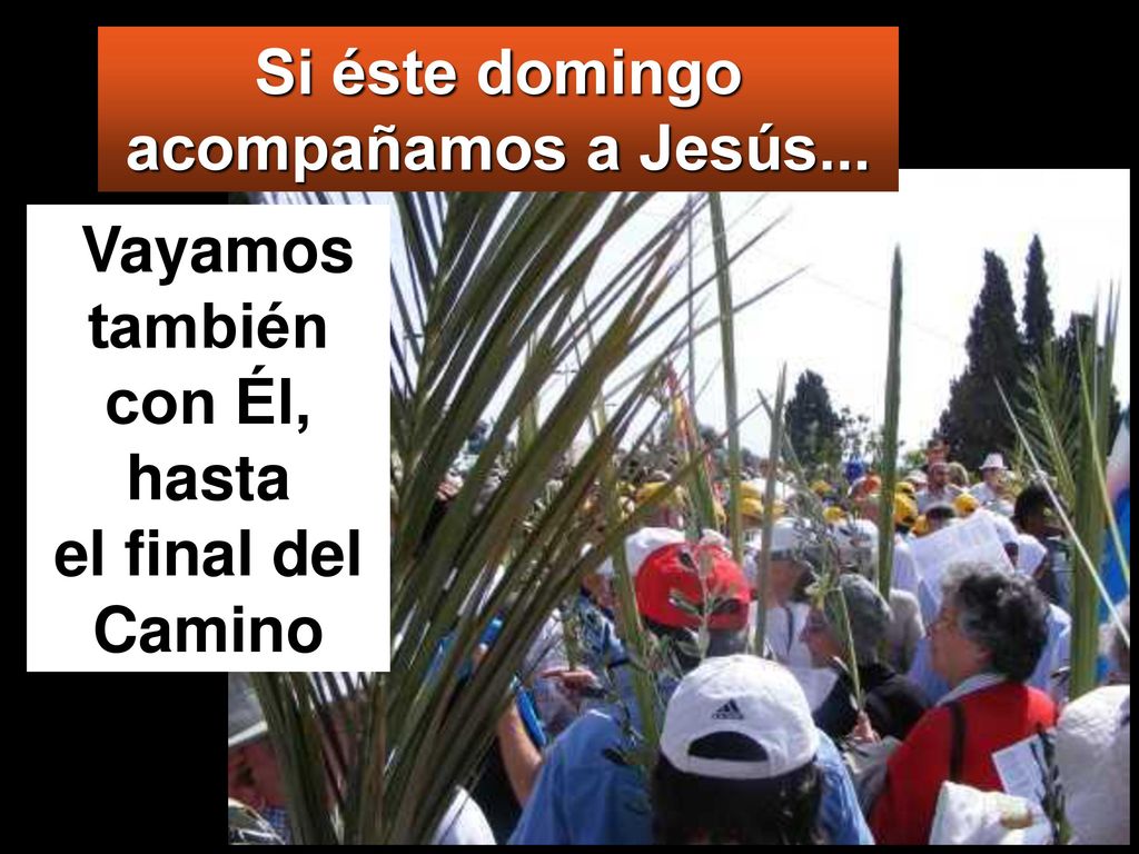 Si éste domingo acompañamos a Jesús... Vayamos también con Él, hasta