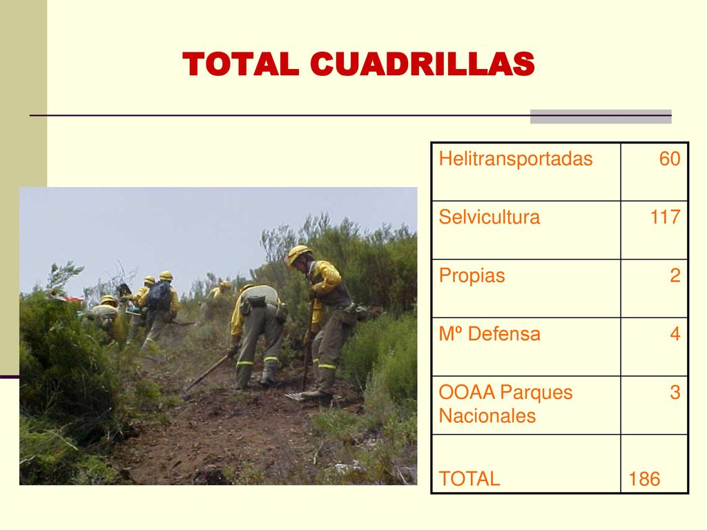 TOTAL CUADRILLAS 2 Propias 4 Mº Defensa 3 OOAA Parques Nacionales 117