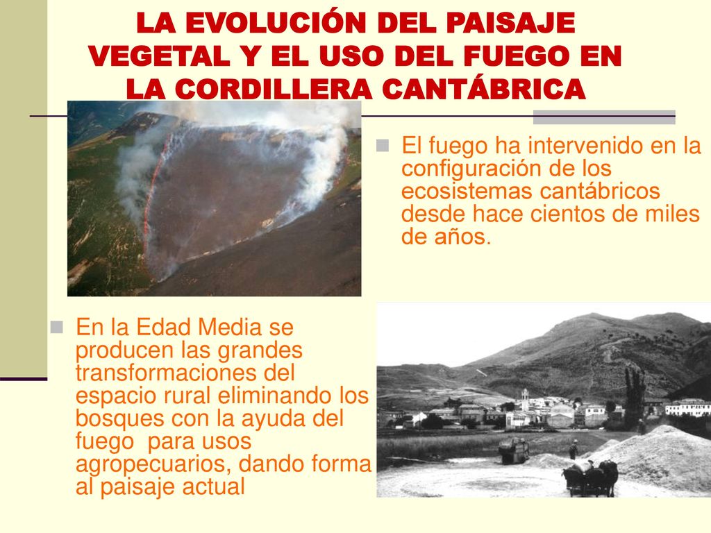 LA EVOLUCIÓN DEL PAISAJE VEGETAL Y EL USO DEL FUEGO EN LA CORDILLERA CANTÁBRICA