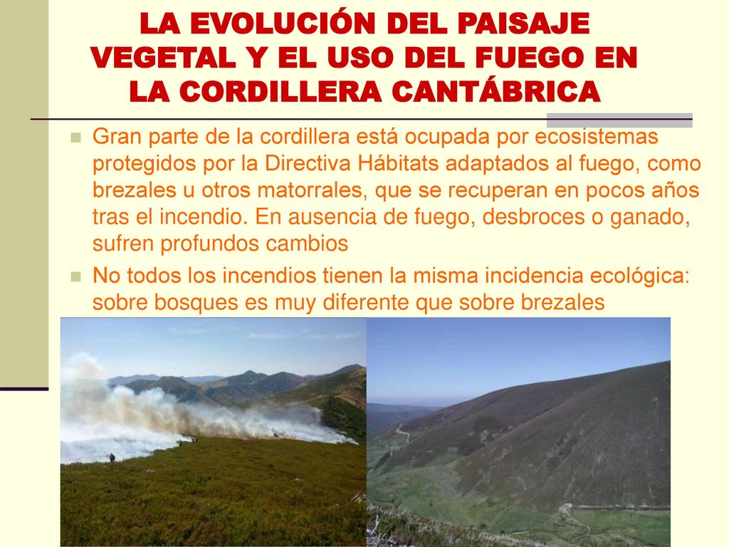 LA EVOLUCIÓN DEL PAISAJE VEGETAL Y EL USO DEL FUEGO EN LA CORDILLERA CANTÁBRICA