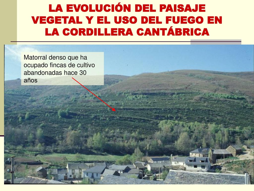 LA EVOLUCIÓN DEL PAISAJE VEGETAL Y EL USO DEL FUEGO EN LA CORDILLERA CANTÁBRICA