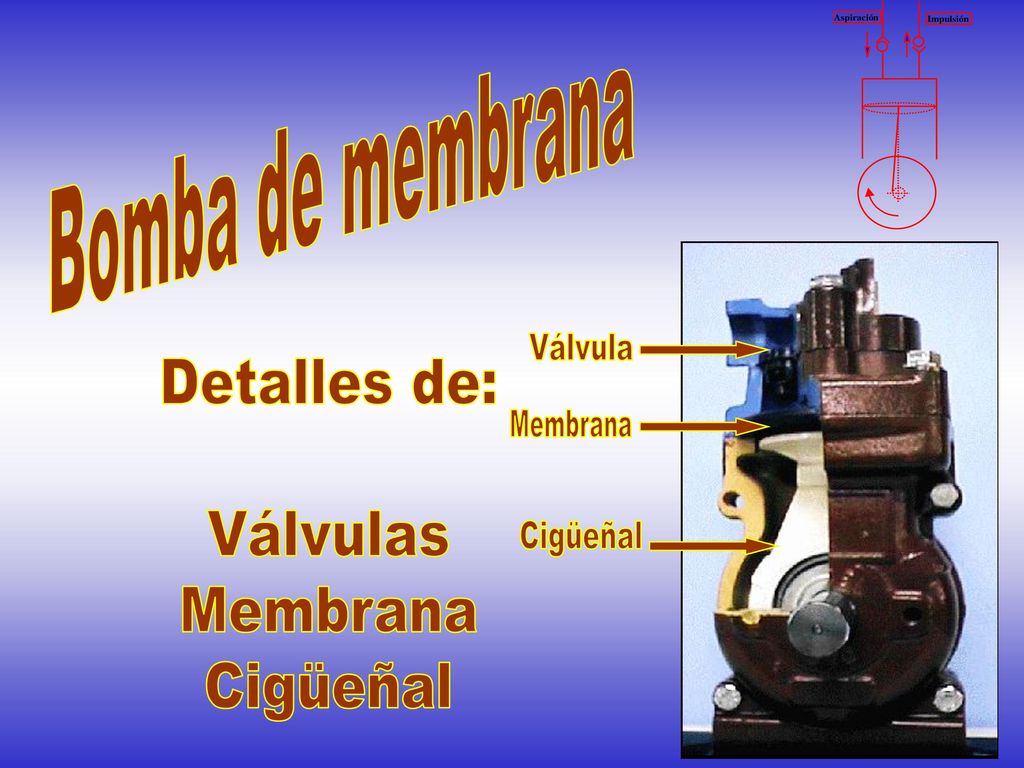 Bomba de membrana Válvula Detalles de: Válvulas Membrana Cigüeñal Membrana Cigüeñal