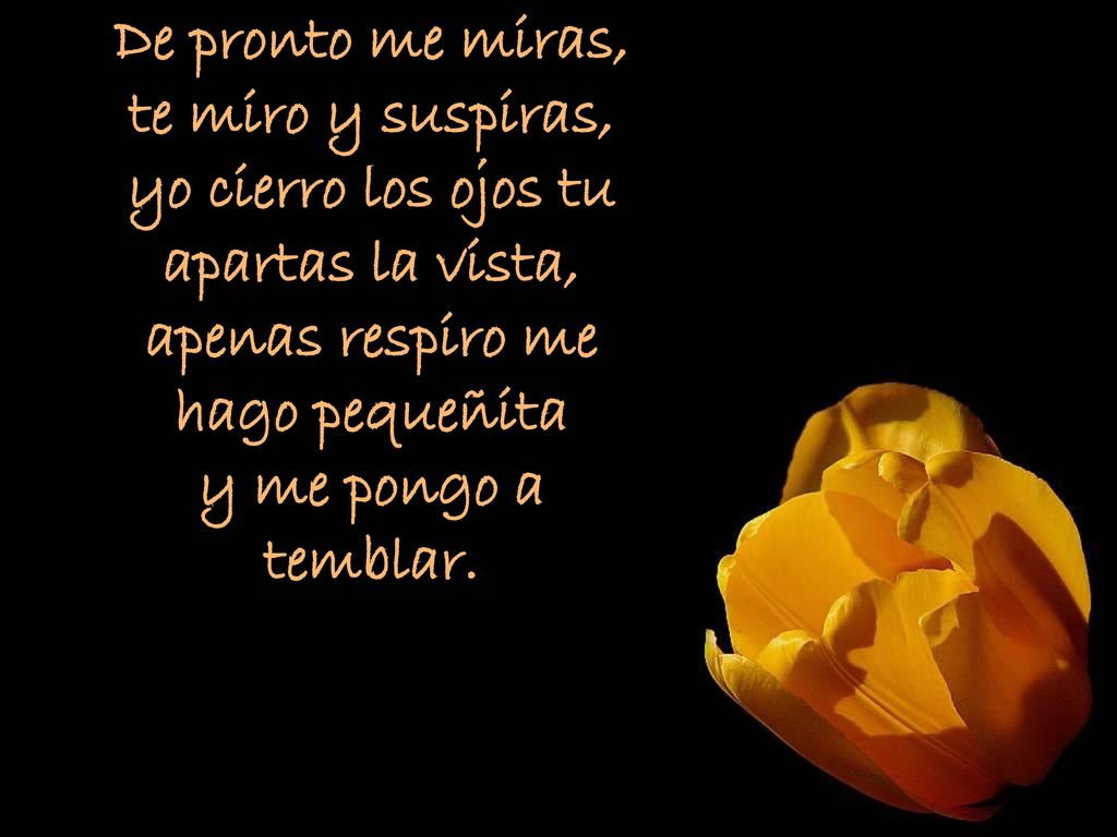 De pronto me miras, te miro y suspiras, yo cierro los ojos tu apartas la vista, apenas respiro me hago pequeñita y me pongo a temblar.