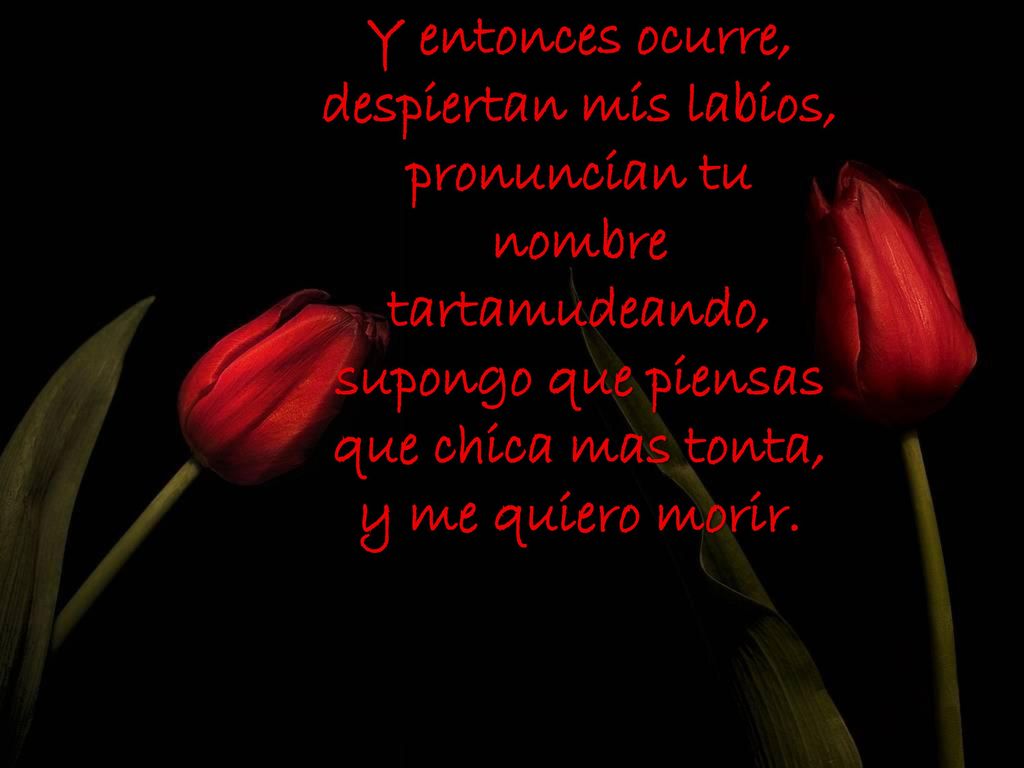Y entonces ocurre, despiertan mis labios, pronuncian tu nombre tartamudeando, supongo que piensas que chica mas tonta, y me quiero morir.