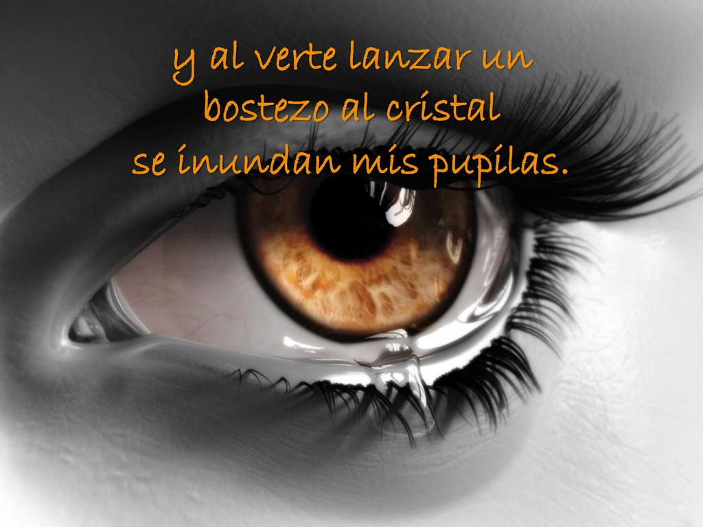 y al verte lanzar un bostezo al cristal se inundan mis pupilas.