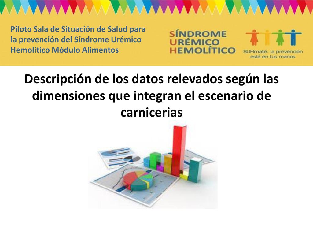 Piloto Sala de Situación de Salud para la prevención del Síndrome Urémico Hemolítico Módulo Alimentos